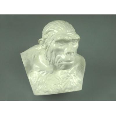 Bust of the Pithecanthropus
