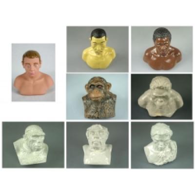 Human Evolution Set