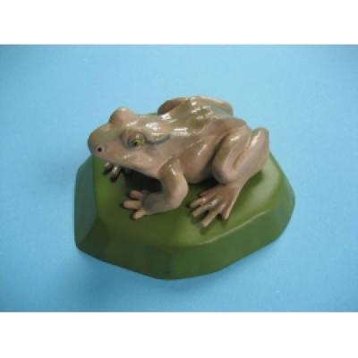  Frog Model