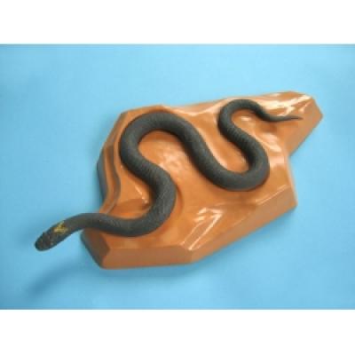 Poisonous Snake Model