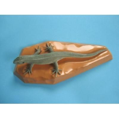 Lizard Model
