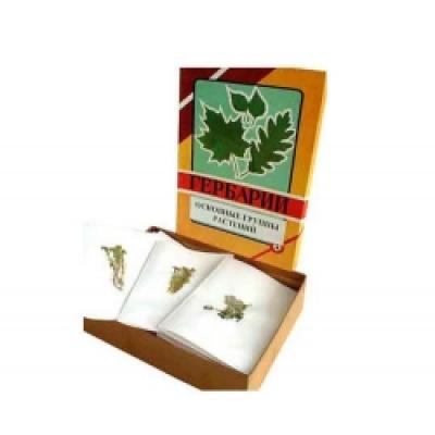 Leaf Specimen Collection