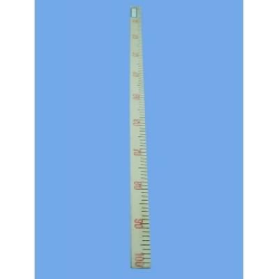  Ruler for Demonstration Purpose