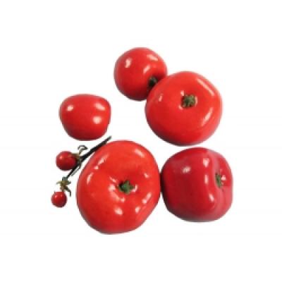 Tomatom Model Suite
