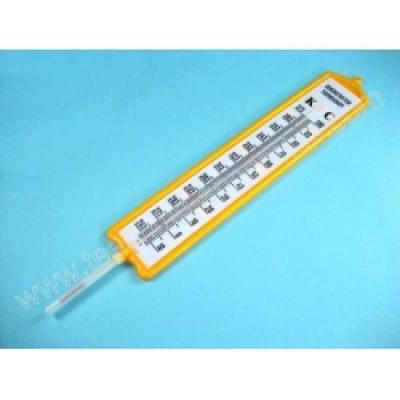 Demonstration Thermometer