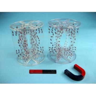  Model for Magnetic Induction Demonstration