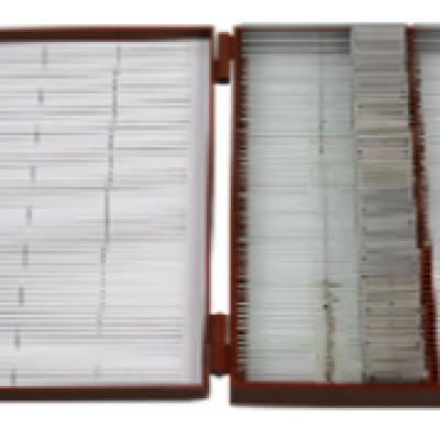 1620 - Set of Microscope Slides on Zoology