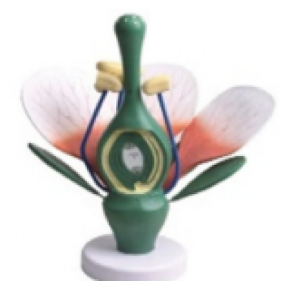 1644 - Universal Flower Model