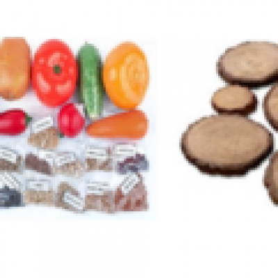 1646 - Biology Collections Set 